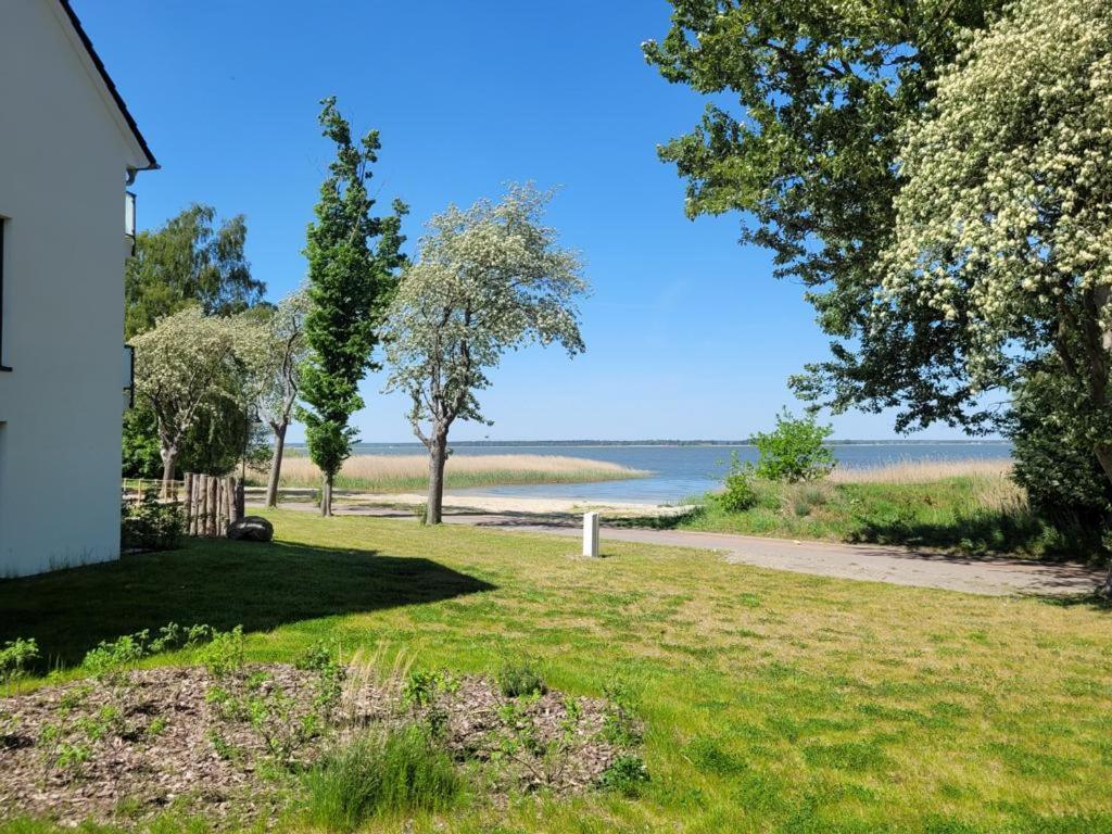 Baltic Lagoon Resort Direkt Am Meer Fuhlendorf  Extérieur photo