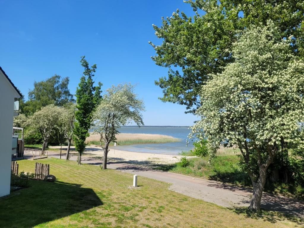 Baltic Lagoon Resort Direkt Am Meer Fuhlendorf  Extérieur photo