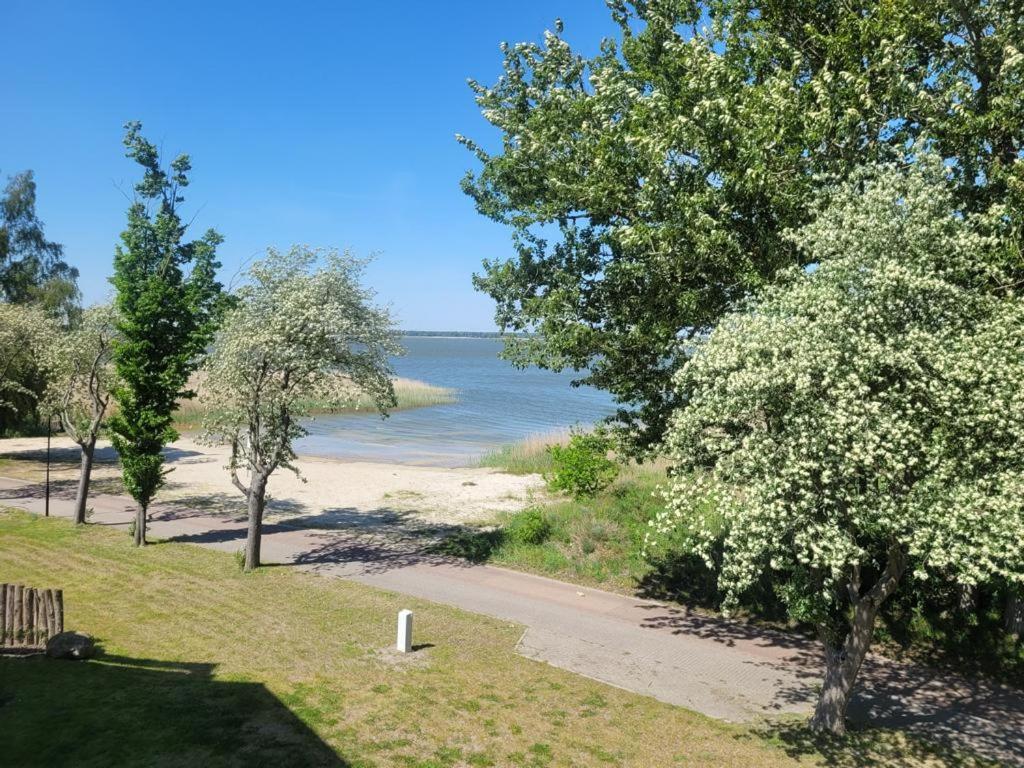 Baltic Lagoon Resort Direkt Am Meer Fuhlendorf  Extérieur photo